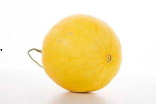 天天吃金蜜瓜,天天享受甜蜜生活