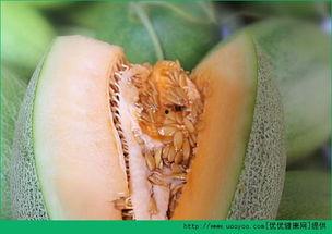 吃哈密瓜会唱火,一咬之下，火光四溢的奇妙之旅