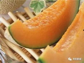 芝士哈密瓜 吃瓜了,一场味蕾的盛宴，吃瓜新体验