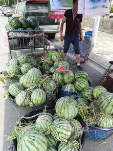 潍坊吃瓜情报事件,一场网络舆论的风暴与反思