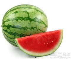 孕妈可以吃瓜尖,孕妈也能享受的瓜尖美味