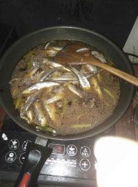 小鱼酱吃瓜,揭秘娱乐圈幕后故事