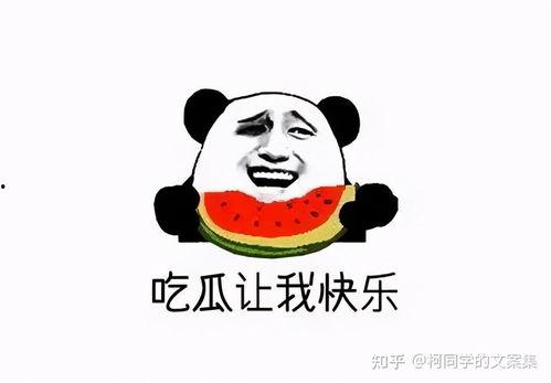 看吃瓜群众比赛吃瓜文案,看吃瓜群众如何一瓜定胜负