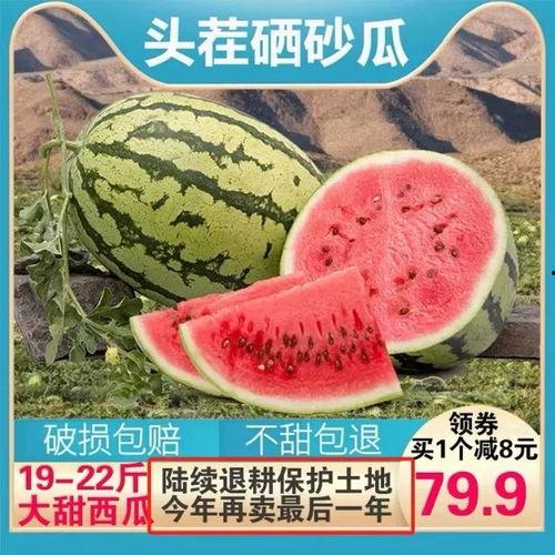 开心吃瓜画面,共享夏日清凉时光