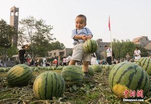 山东美院吃瓜视频,揭秘校园生活趣味瞬间