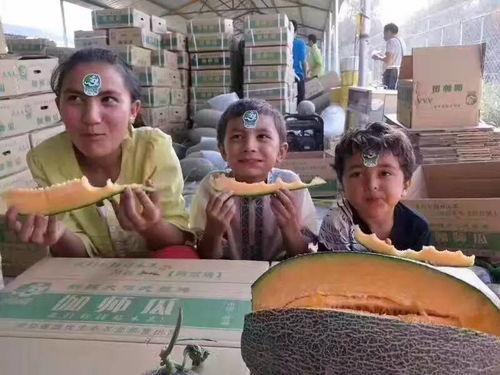 柳州吃瓜赚钱吗,揭秘如何通过吃瓜赚取收益