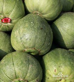 空腹吃牛角瓜行吗,空腹食用牛角瓜的适宜性探讨