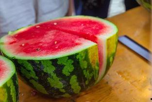 广州学校吃瓜,揭秘校园吃瓜盛况