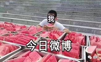 吃瓜前线人,揭秘娱乐圈幕后故事