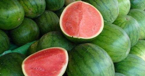 吃瓜该咋回复,如何优雅地参与网络热议