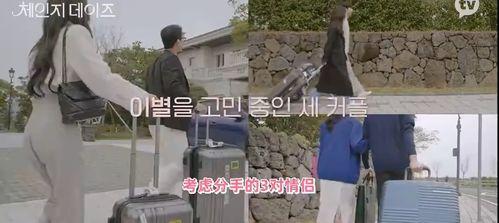 韩国综艺现场吃瓜,一场惊心动魄的“吃瓜”盛宴