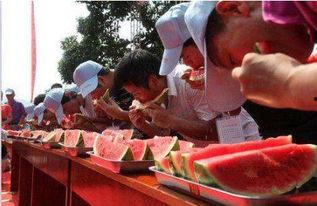 吃瓜大赛比赛活动策划,吃瓜大赛狂欢活动策划亮点解析