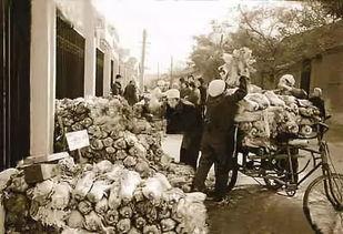 大杂院极品吃瓜日常,极品日常众生相