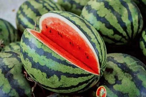 手册吃瓜动作,揭秘手册中的吃瓜动作指南