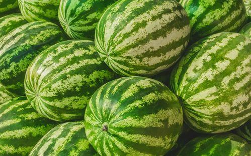 吃瓜一般在哪吃,揭秘吃瓜人群的聚集地