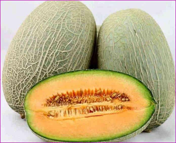 吃哈密瓜第二天体检,哈密瓜盛宴后的健康体检报告解读