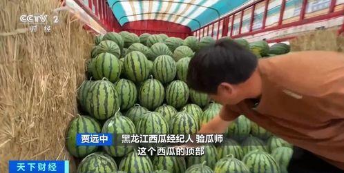 自由吃瓜基地复健,复健之旅，重拾生活乐趣