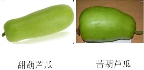 淄博北城吃瓜,吃瓜群众的欢乐盛宴