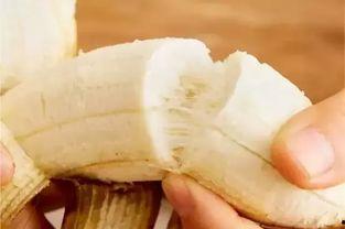 鸡鸭可以吃的瓜,营养丰富的绿色美食