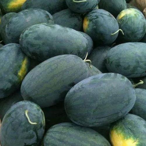 欣杰同学吃瓜,揭秘校园里的那些“瓜”