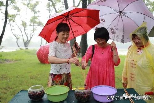 梦见摘仙瓜吃,探寻摘仙瓜的神秘之旅