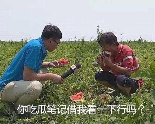 吃瓜表情无籽瓜,吃瓜表情无籽瓜，甜蜜滋味尽享无忧