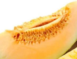 蜜瓜怎么吃不凉气,轻松避免“凉气”困扰