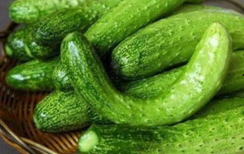 qq吃瓜黄瓜群,揭秘网络社交圈的趣味与争议