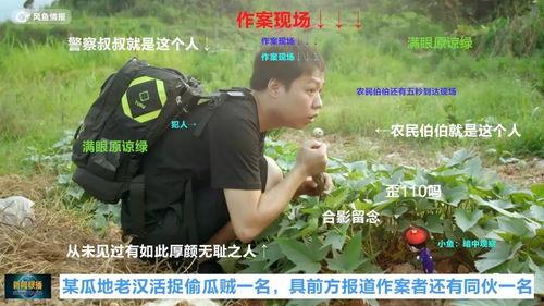 假装吃瓜群众,一场假装吃瓜群众的娱乐盛宴