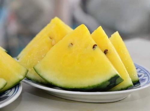 5兄弟吃瓜,共享夏日甜蜜时光