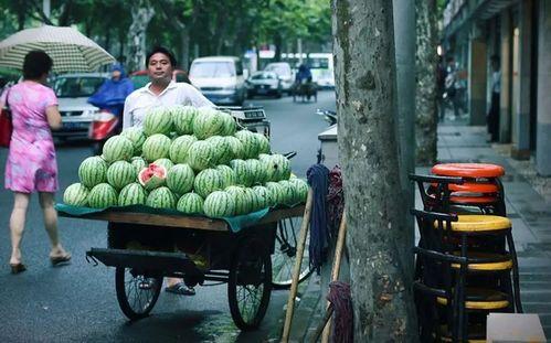 路边吃瓜歌曲,笑谈人间百态