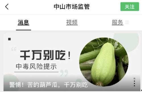 吃瓜广东食品,揭秘吃瓜广东的独特美食风情