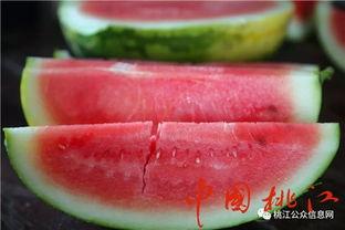 吃瓜的河牛,揭秘草原上的“美食家”