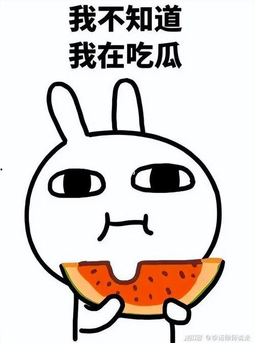吃瓜选个什么网名,跟随吃瓜群众，探寻网络世界的趣味与真相