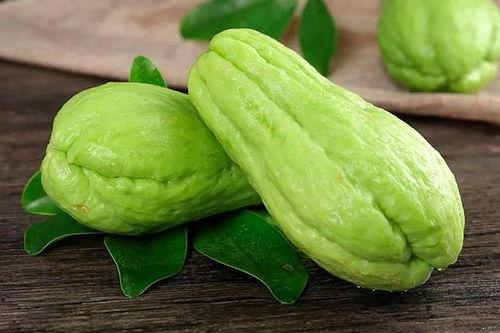 吃补肾中药可以吃茄瓜吗